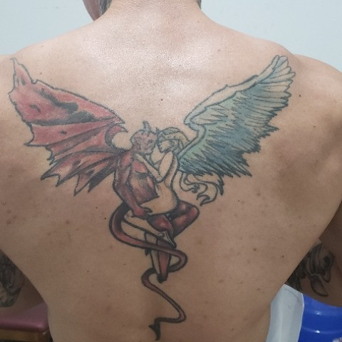 Edipo sp