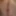 Sergius Anal