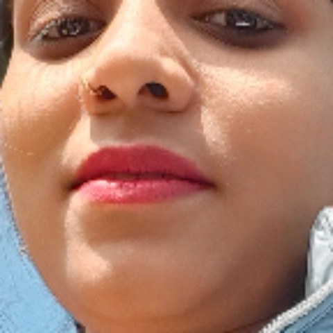 Snehaarya