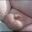 Mat the chub