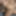 Onlyporn2023