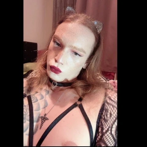 TSMerve