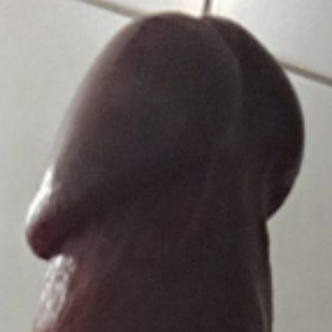 MisterXL