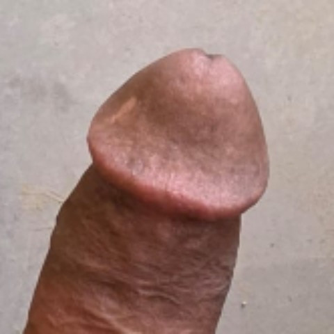 FamilyHelperX