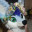 BlueHuskyuwu