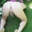 Passiv Slut