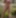 NaughtyGardenGirl