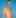 Jeremy Steele