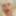 Moe_798