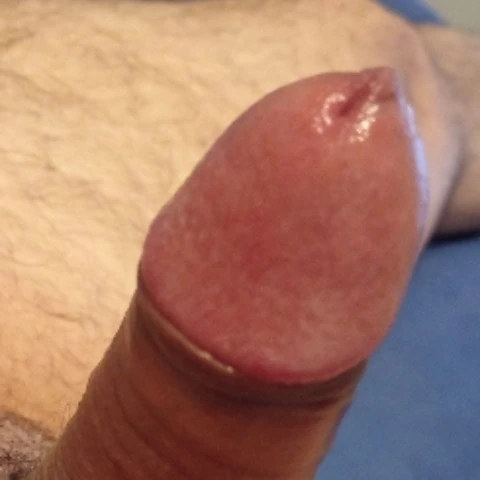 Browndick77