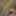 Kinkyguy69 