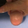 ethan169