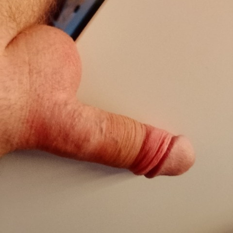 Deniaober