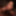 Body_lyric