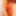 covo_sissy_cross