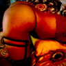 Kat629