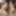 Desi_porn_video20