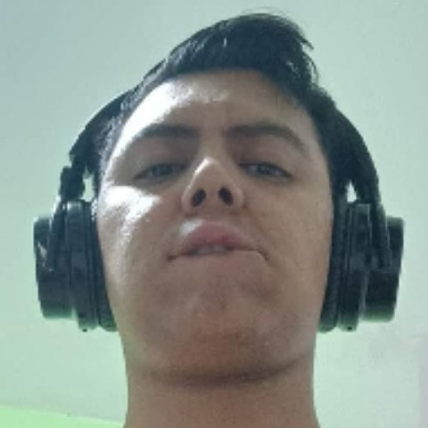 Elpalomo_mx99