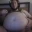 Chub Chug