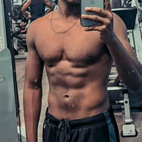 Bull Rohit 
