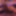 Prabind69