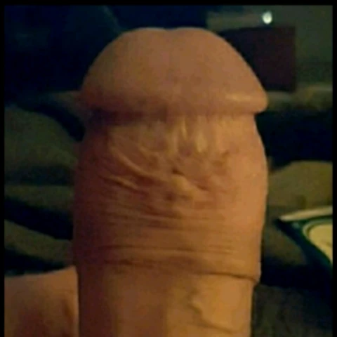 Northwoods Cock