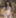 Samantha Bentley
