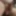 RandomPenis4