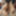 Desi_porn_video20