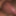 Xxcrp