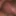 Xxcrp