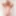 Maisey Monroe