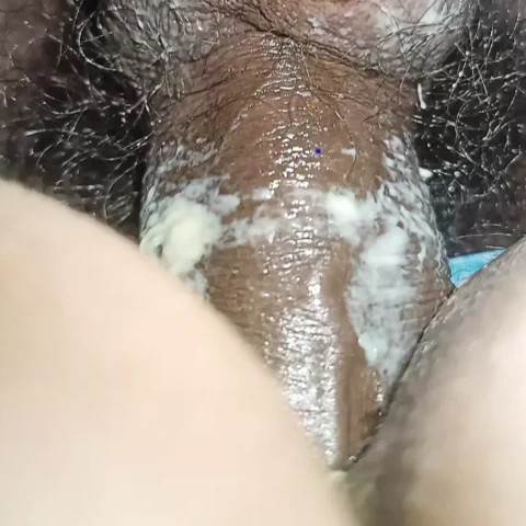 Desistork13 