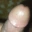 Apxxx2 