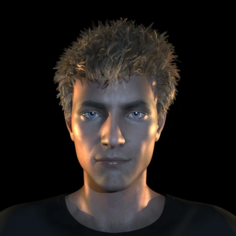 HighbornTiger