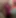Spreadme124