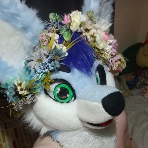 BlueHuskyuwu