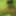 SolomonInt