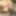 VILLAGEWIFE9