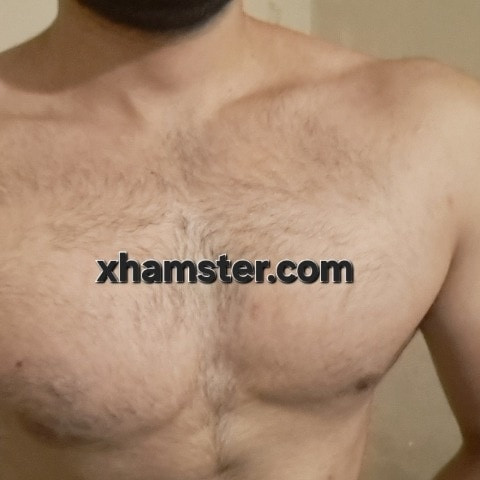 Metalex